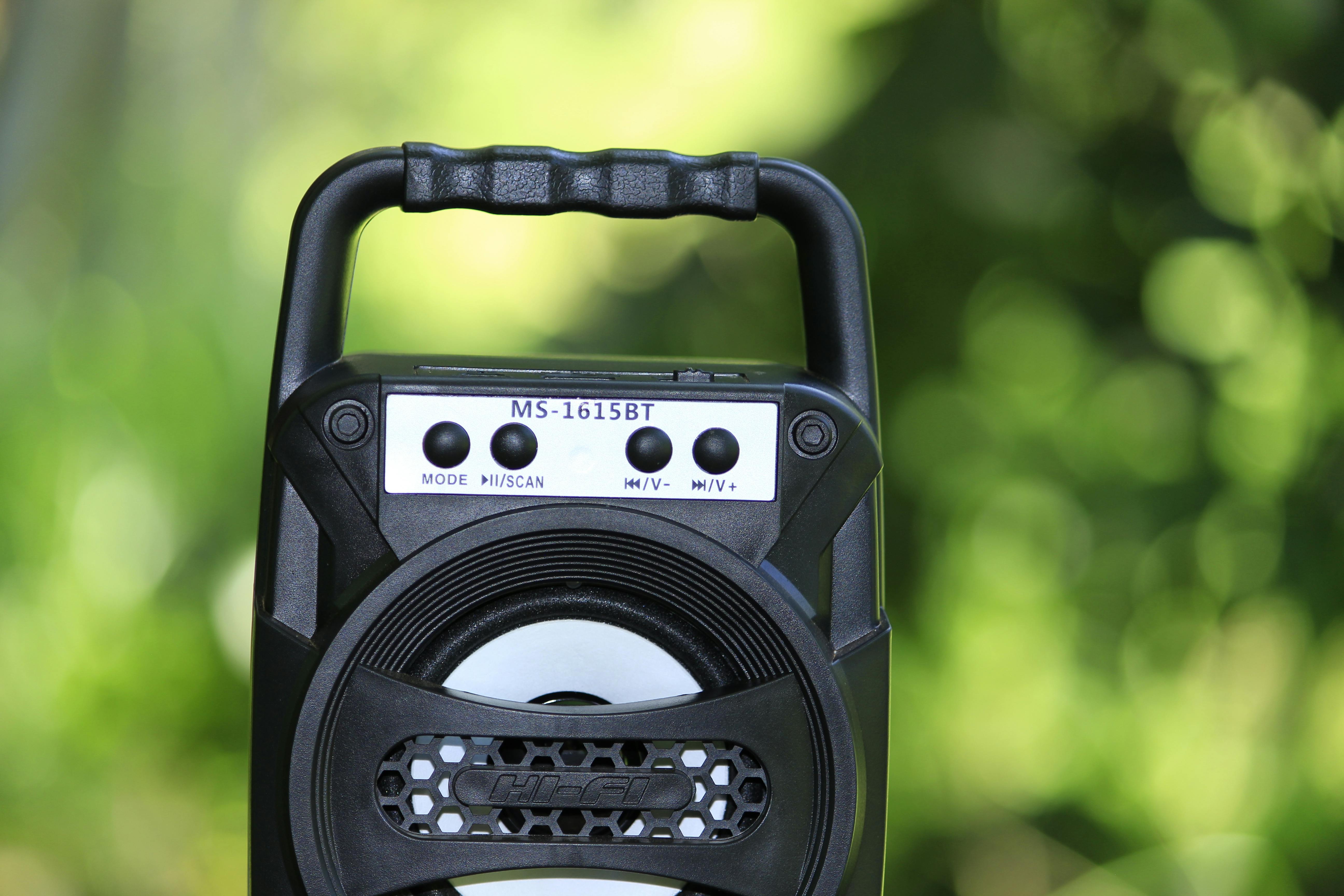 Bluetooth Speaker Hanging on Tree Trunk · Free Stock Photo