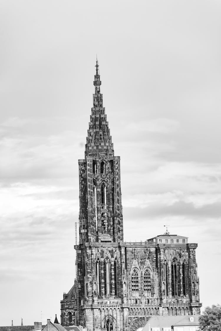 View Of The Strasbourg Cathedral