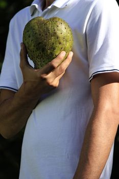 Guyabano (Soursop)