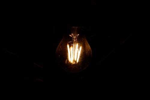 Silhouette Photo of Lighted Bulb