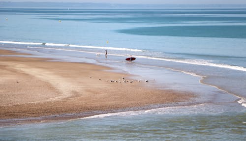 An Aerial Photography of People Walking on the Beach