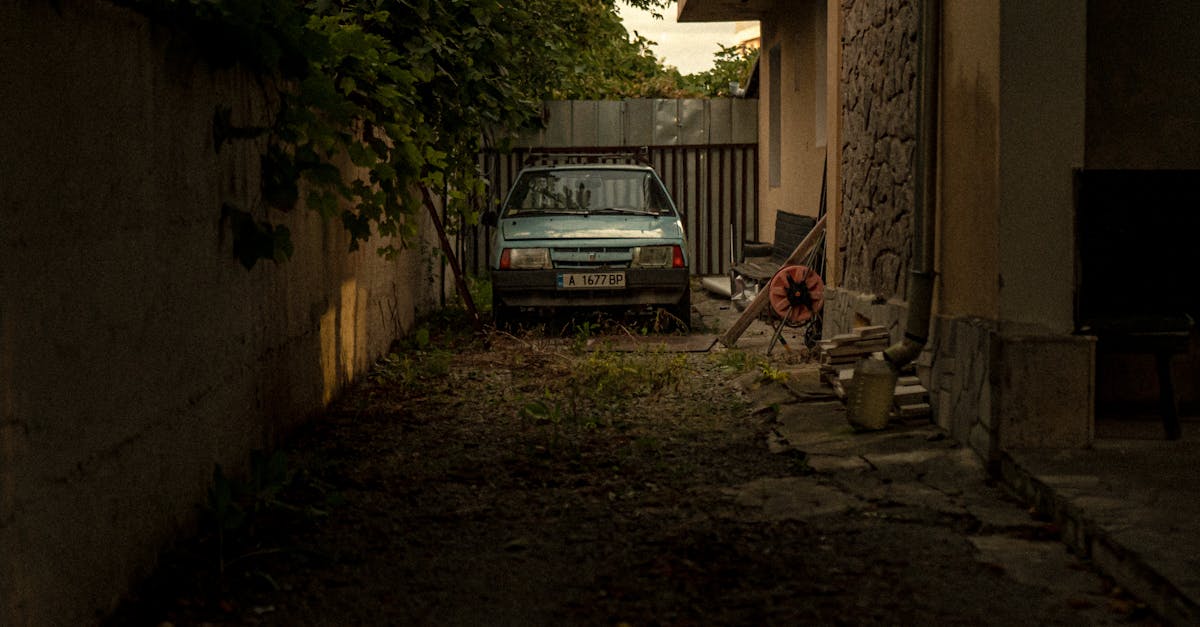 Overgrown Yard With Neglected Home Maintenance