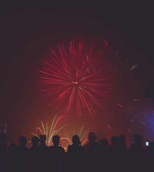 Silhouetted crowd watching vibrant fireworks explode in the nighttime sky.