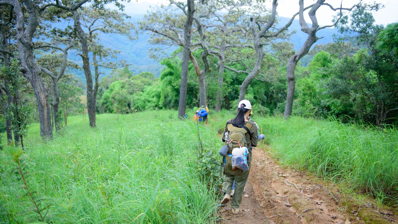 Back view of people walking on trail, Benin