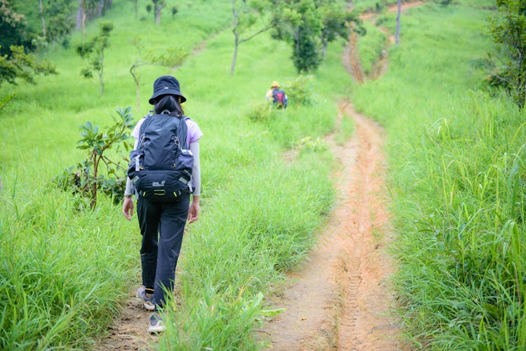 Back View Shot Of A Backpacker Walking On A Trail 