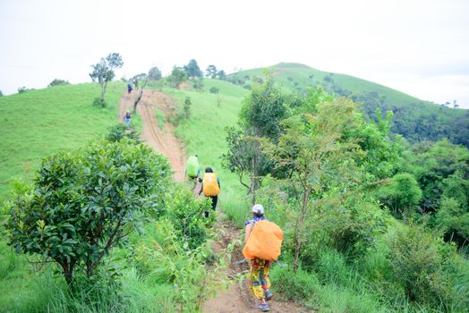 Group of hikers exploring lush green hills on a bright day in nature.