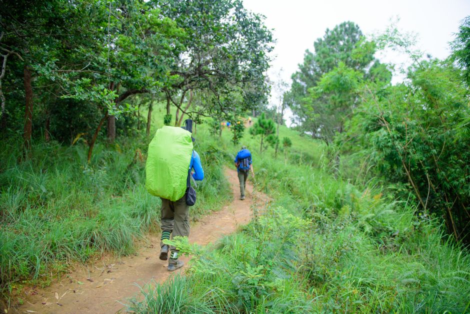 Experience the Thrill: Hiking Trails in Nigeria