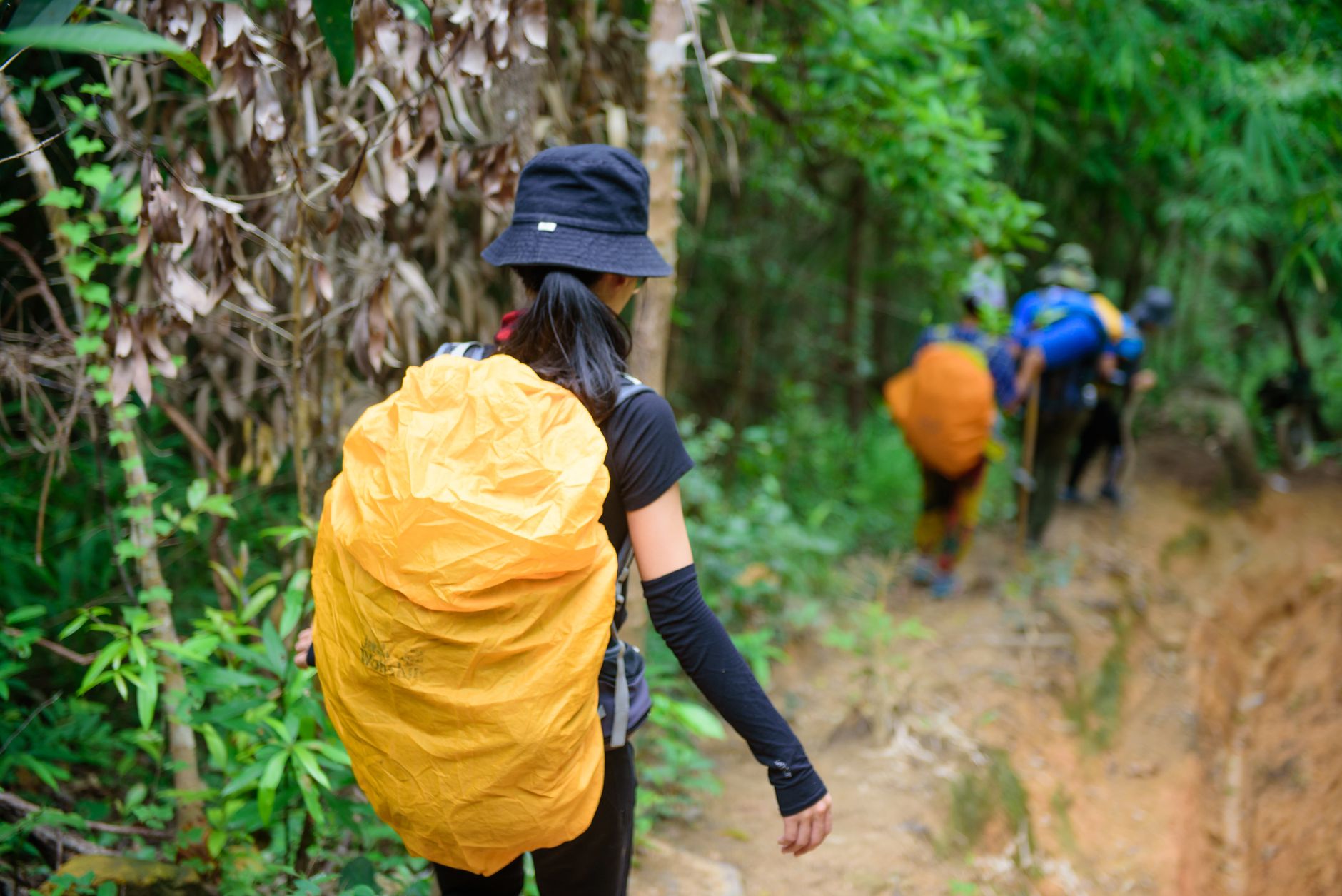 Os 7 Princípios do Leave No Trace: Guia Prático para Trekking
