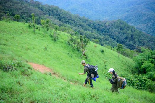 Two hikers with backpacks walk up a verdant hillside, exploring nature's beauty.