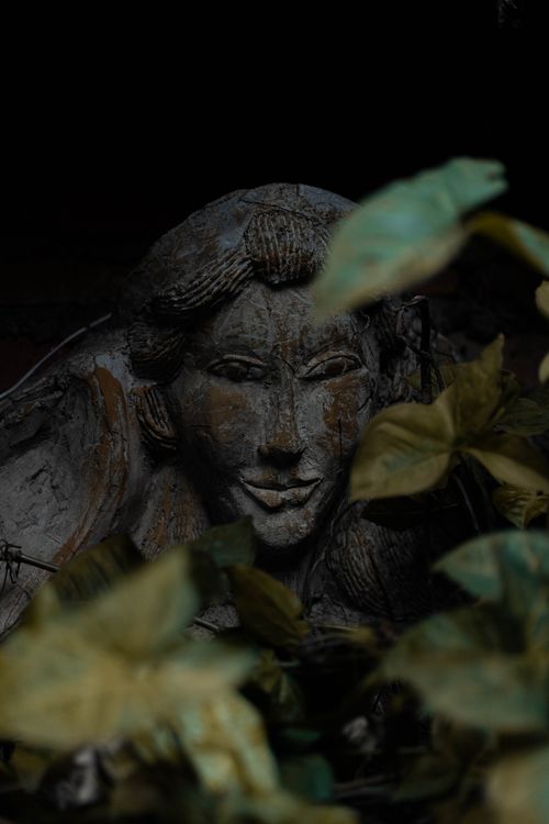 Free Close-up of a stone sculpture hidden among leaves, creating a mysterious aura. Stock Photo