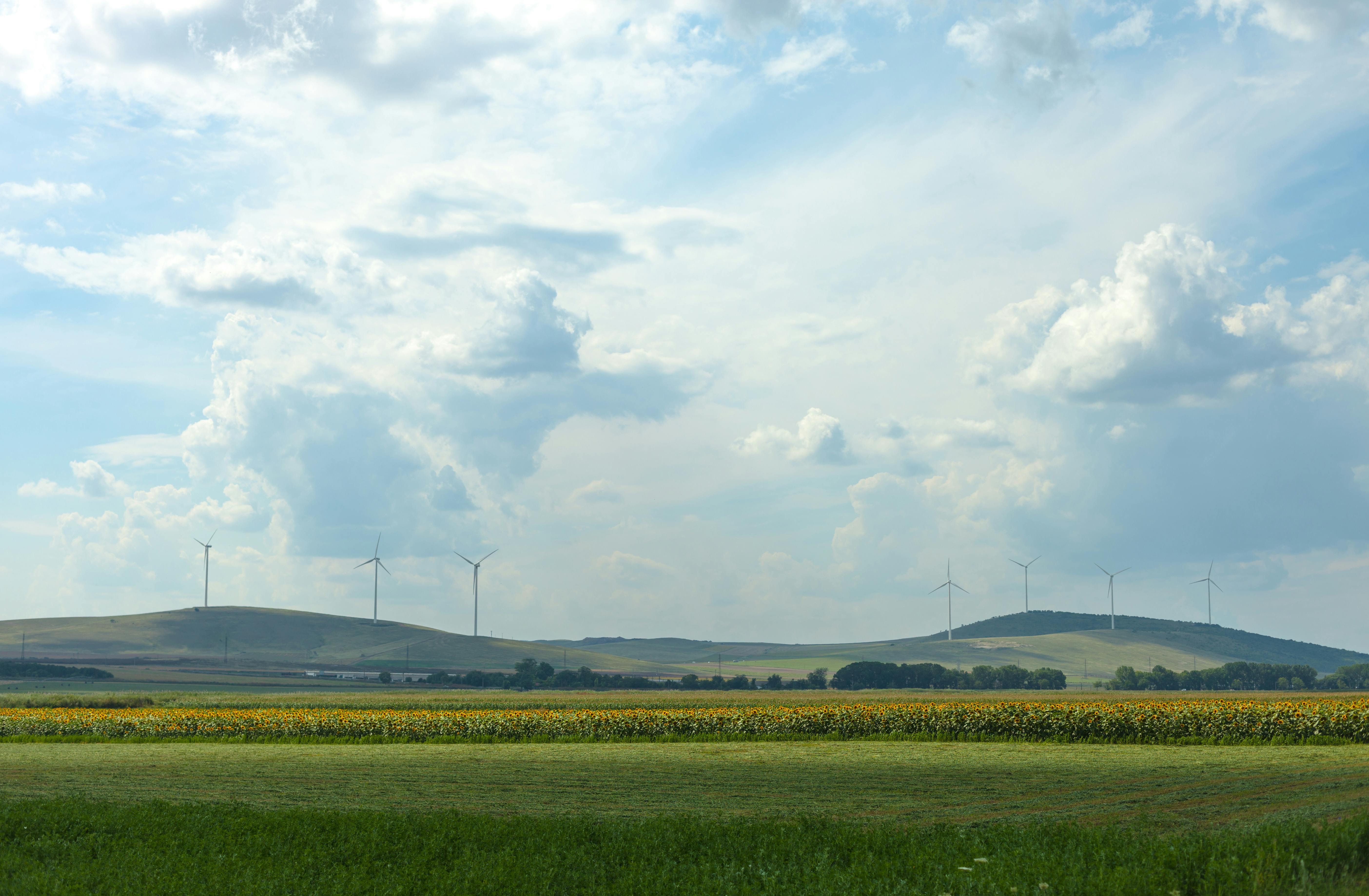 Carbon Sequestration: How Farmers Can Combat Climate Change