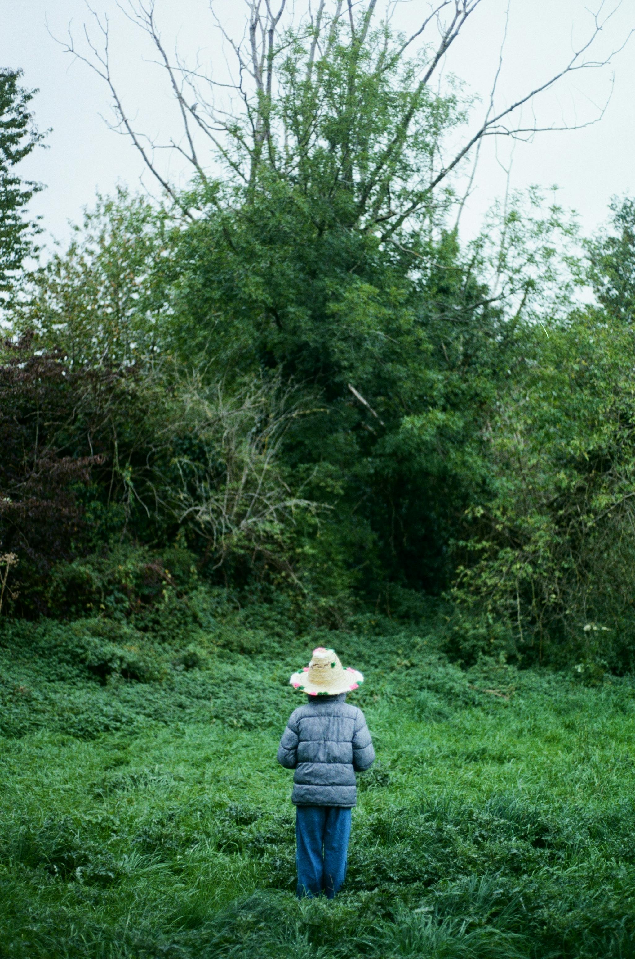 A person in a straw hat stands in a green forest, evoking a sense of mystery and nature.