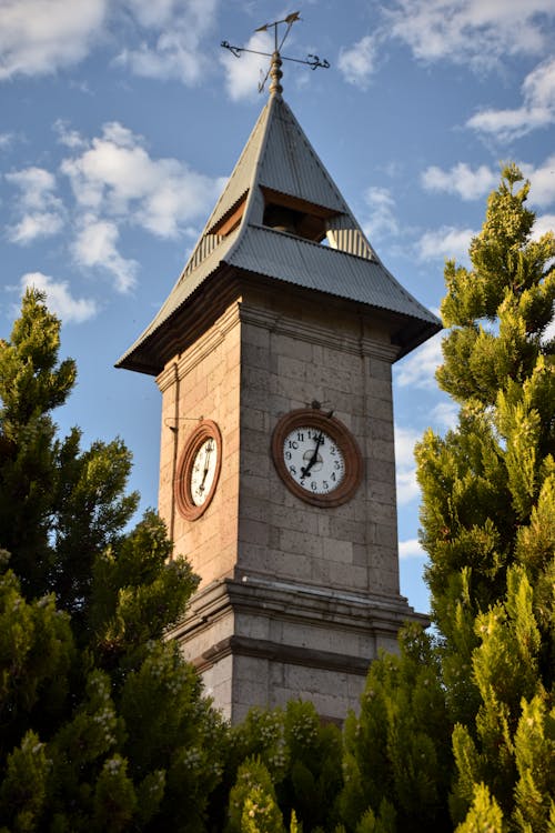 로우 앵글 샷, 수직 쐈어, 시계탑의 무료 스톡 사진