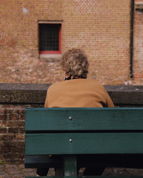 Back View of a Person Sitting on the Bench
