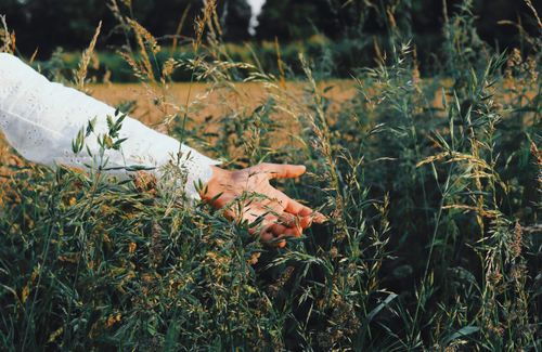 Free A person gently touching grass in a sunny field, capturing the essence of nature and calmness. Stock Photo