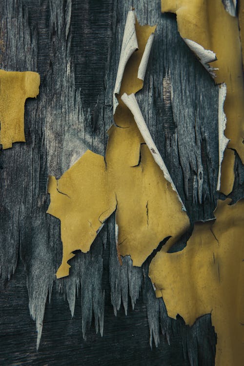 Free Peeling Yellow Paint on Wooden Wall Stock Photo