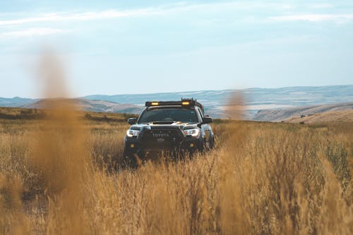 Black SUV on Brown Grass Field