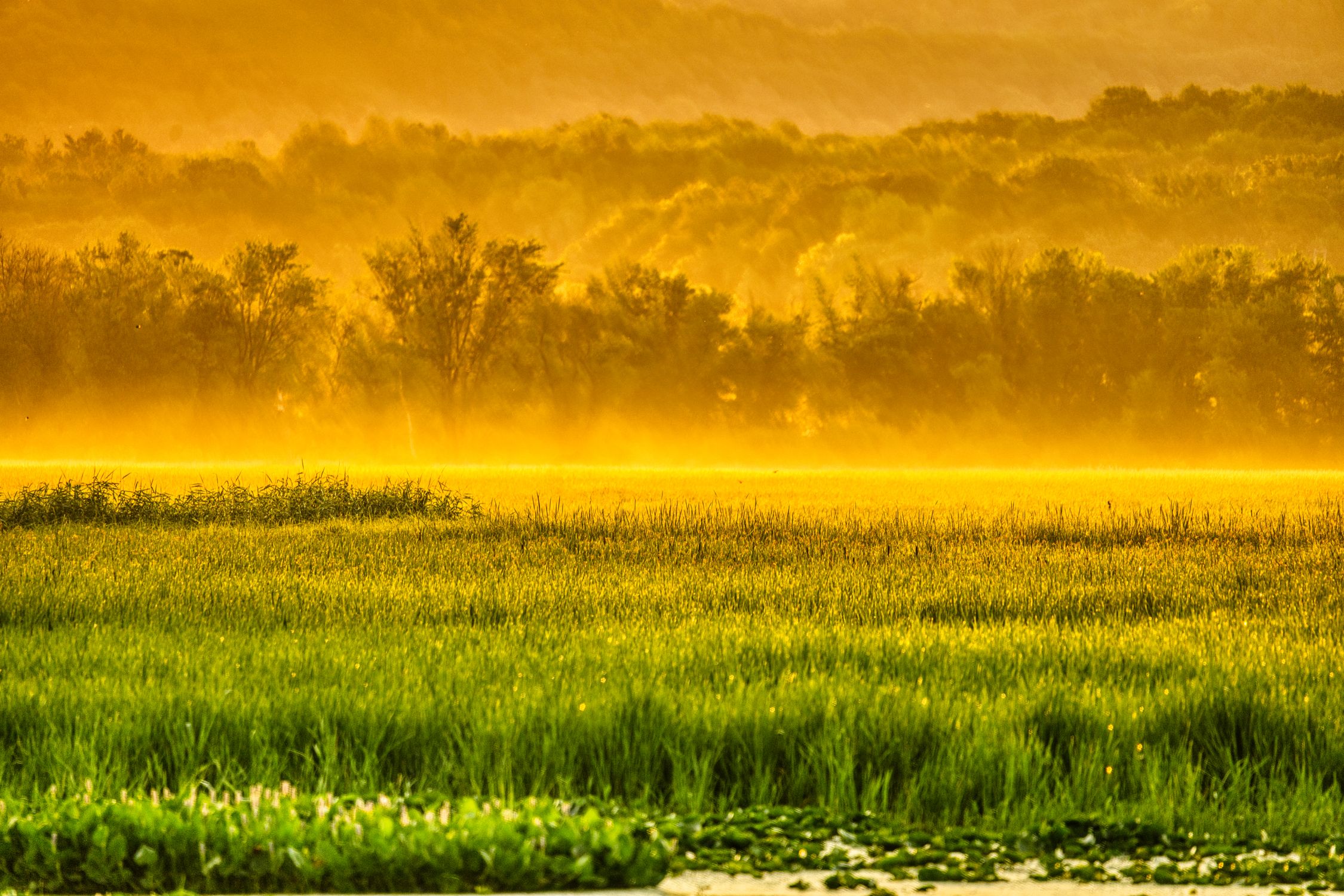 Green Grass Field Under Cloudy Sky · Free Stock Photo