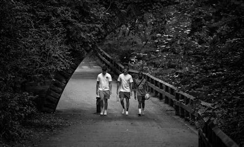 A Grayscale Photo of Men Walking on the Bridge Between Trees