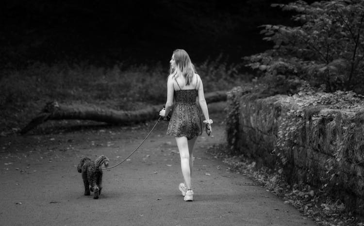 A Woman Walking Her Dog 