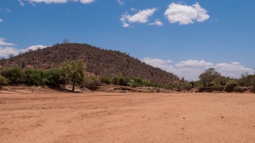 Dry Riverbed