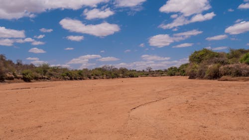 Dry Riverbed