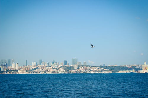 Immagine gratuita di carta da parati blu bambino, carta da parati della città, città e mare