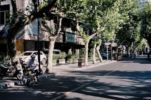 거리, 나무, 남자의 무료 스톡 사진