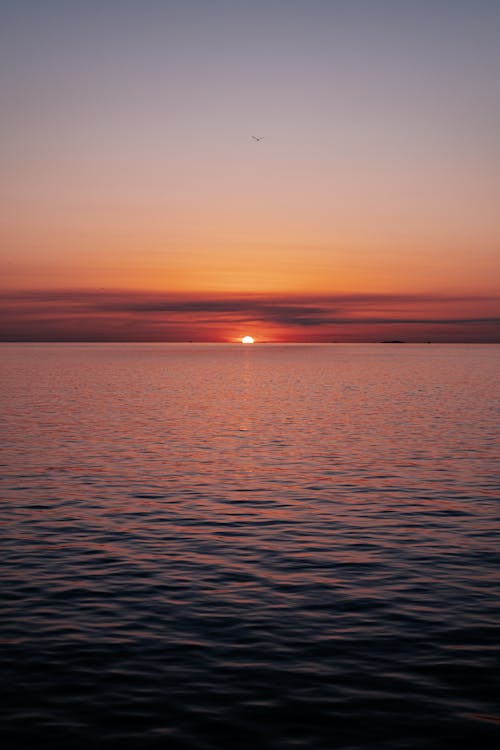 akşam karanlığı, altın saat, deniz içeren Ücretsiz stok fotoğraf