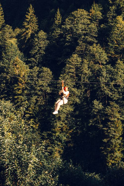 Free Experience the thrill of ziplining through the lush forest of Çamlıhemşin, Türkiye. Stock Photo