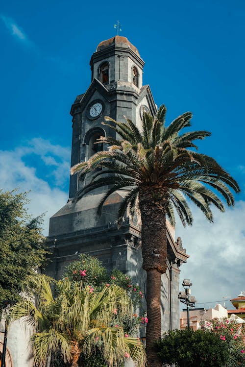 Bell Tower with Clock 