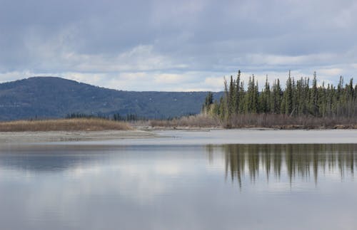 A Lake Near Green Trees Under Cloudy Sky