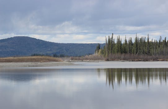 Tranquil landscape featuring a calm lake and evergreen forest under a cloudy sky in Fairbanks, Alaska.