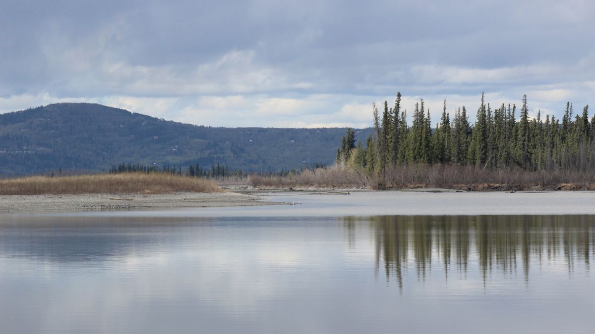 Top Anchorage, AK Birthday Freebies With No Purchase Necessary: Safe Entry Guide