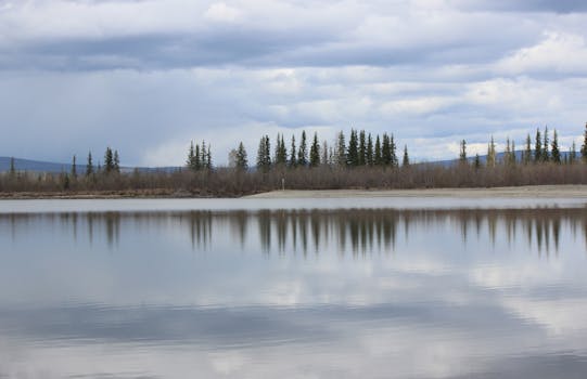 Serene landscape of a reflective lake and trees under a cloudy sky in Fairbanks, Alaska.