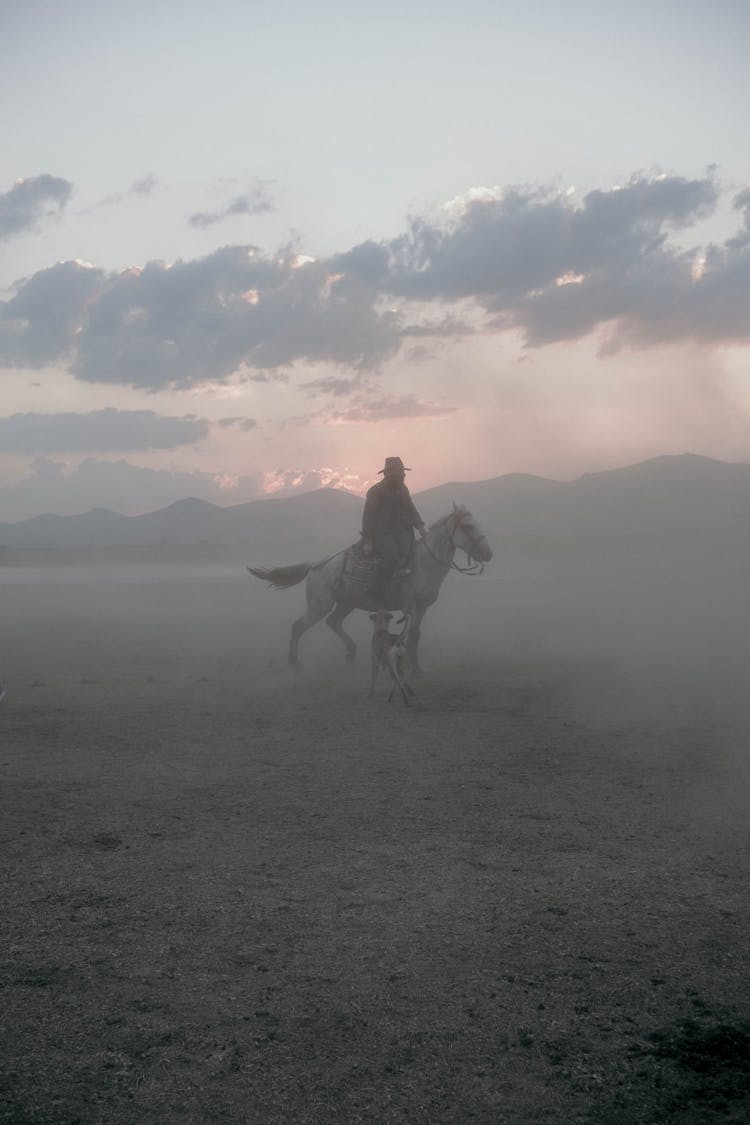 A Person Riding Horse On Foggy Field