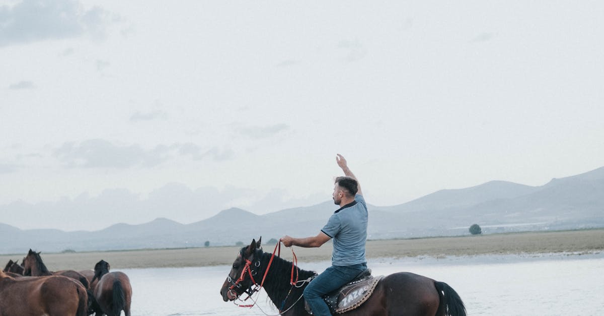 A Man Riding a Horse · Free Stock Photo