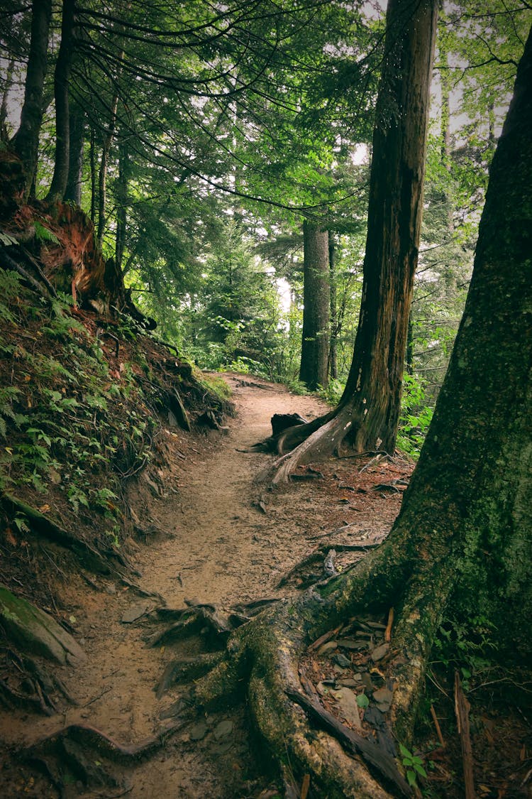 Appalachian Trail