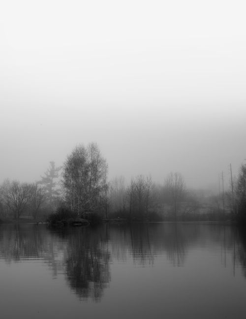 Free Serene foggy lake scene with misty trees reflecting in Waterloo, Canada. Stock Photo