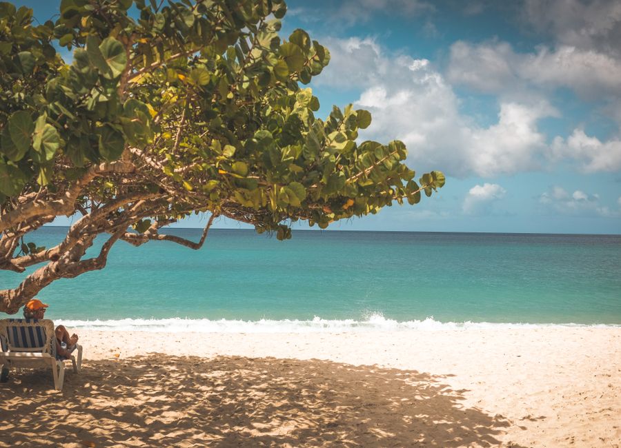 Relaxing at a serene tropical beach in Grenada under the shade of a tree with a stunning ocean view.