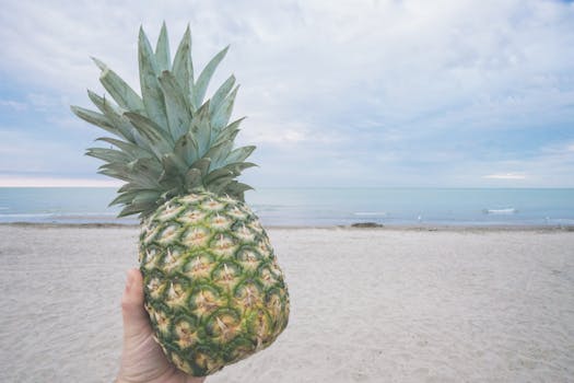 A hand holds a pineapple on a sandy beach against a blue sky and sea.