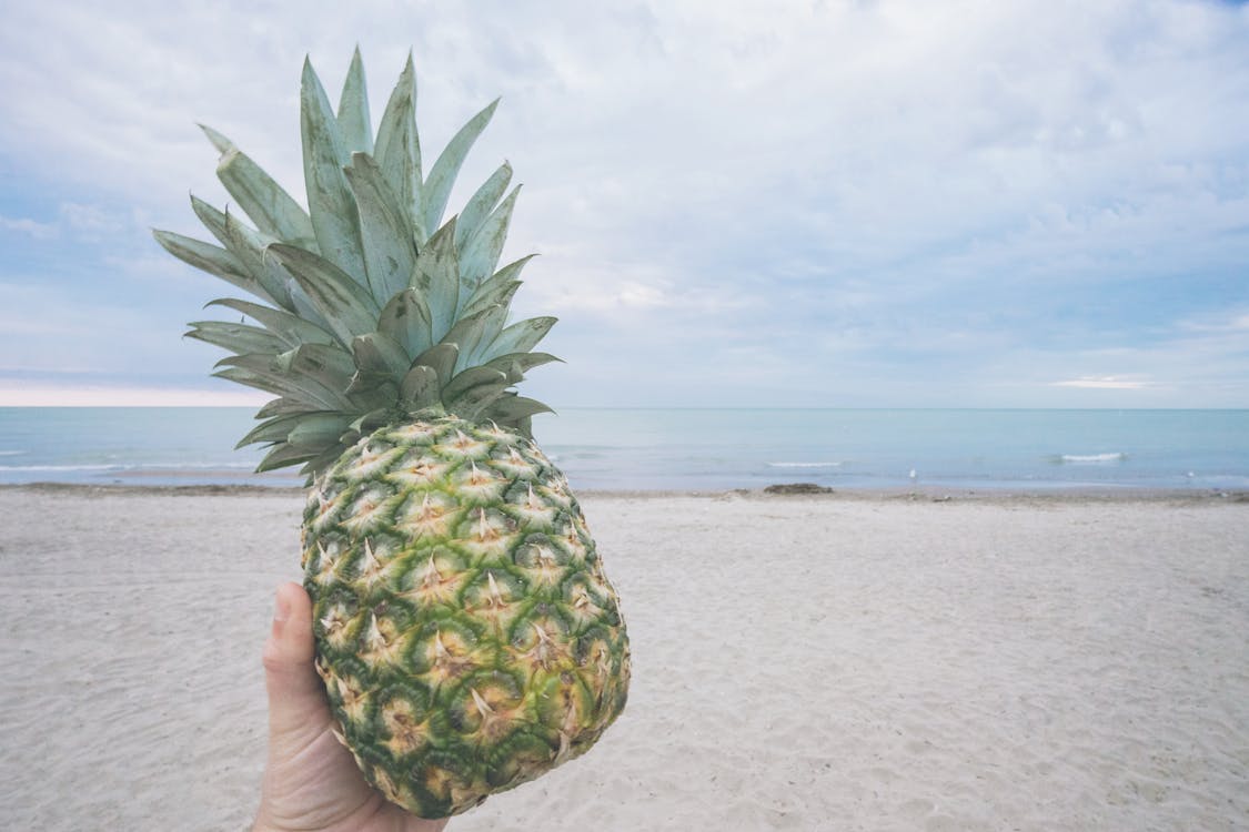 Ilmainen kuvapankkikuva tunnisteilla ananas, hedelmä, hiekka Kuvapankkikuva