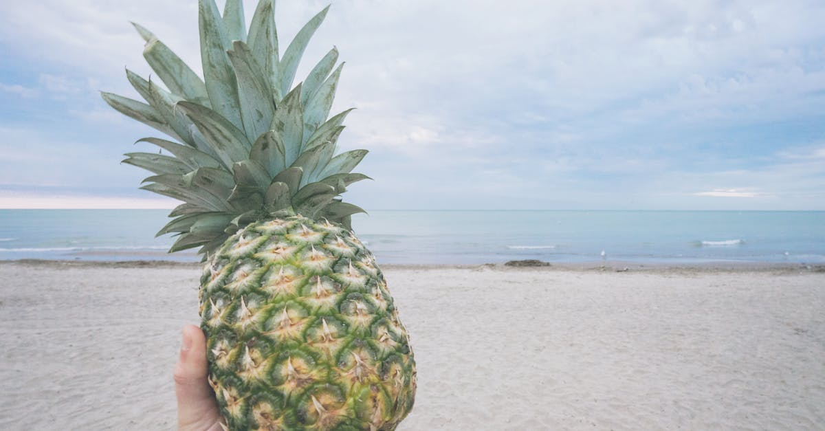 Free stock photo of beach, fruit, hand