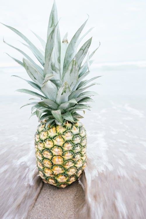 Ingyenes stockfotó ananász, édes, friss témában Stockfotó