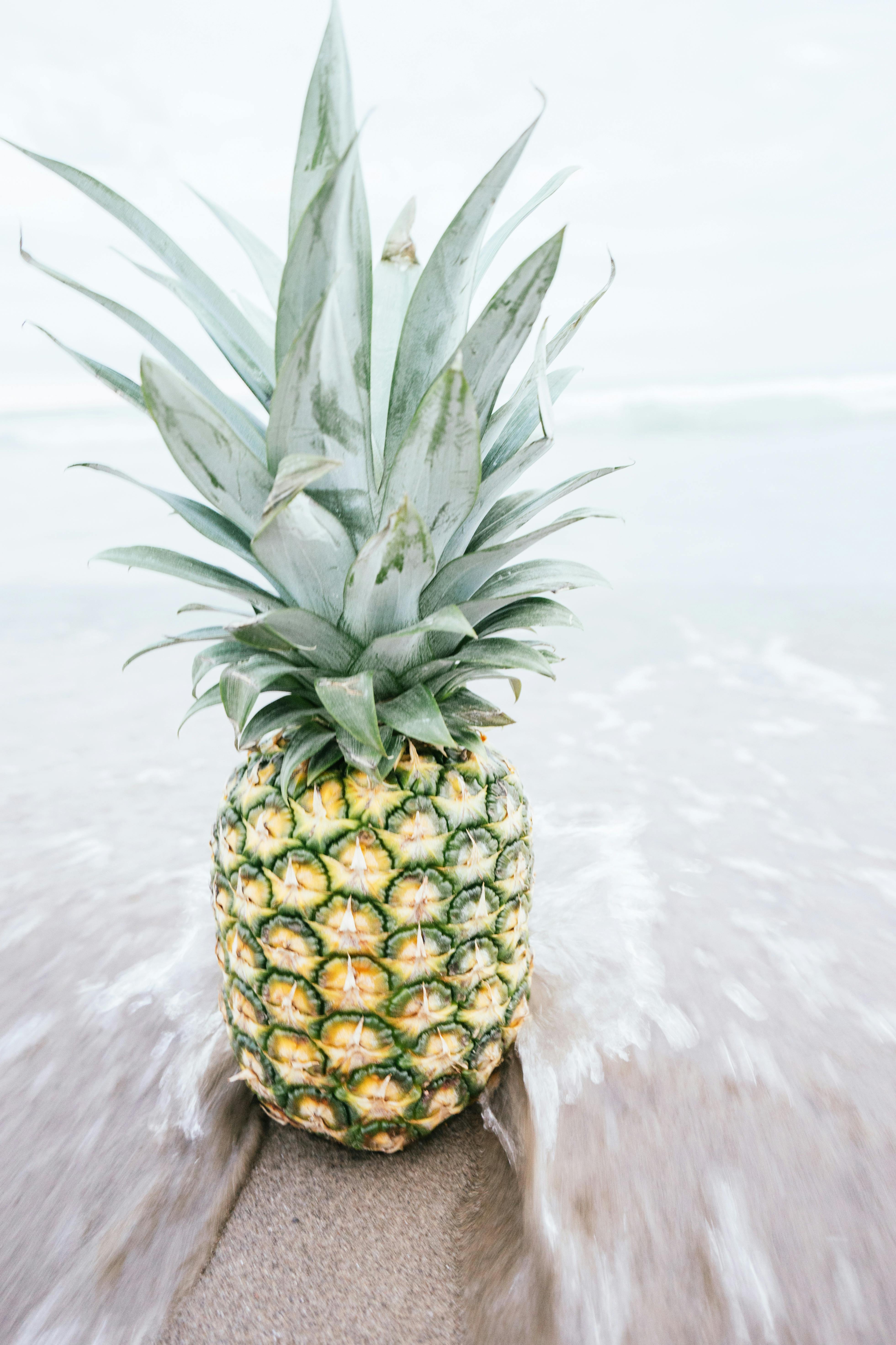 Pineapple Fruit on Shore \u00b7 Free Stock Photo