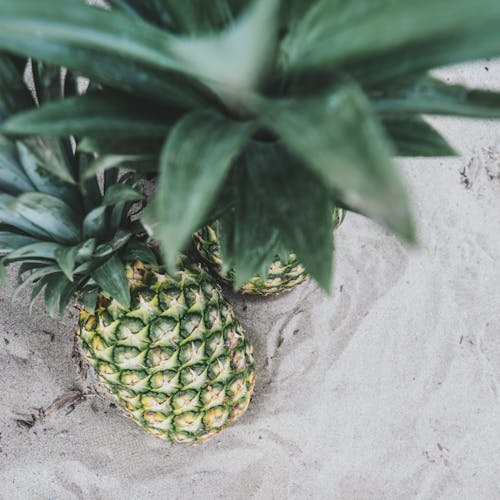 Free stock photo of beach, fruit, looking down