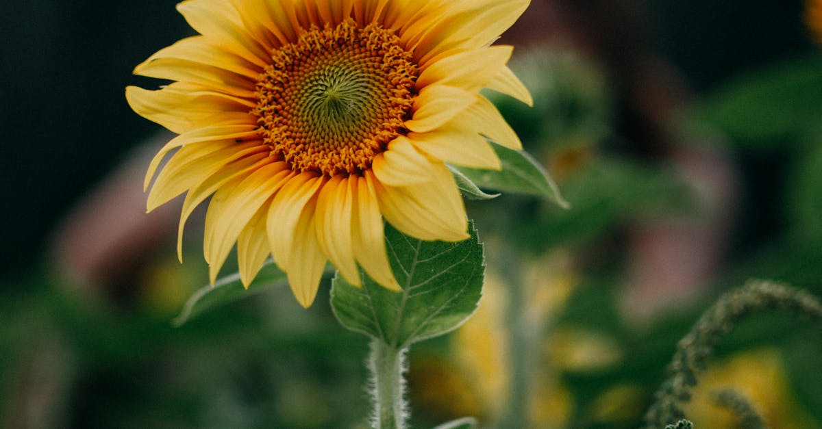 🔴 三星電選四倍十期!最後一天搶購中!🏃♂️💨