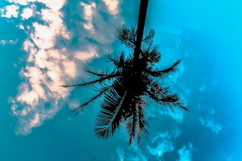 Darmowe zdjęcie z galerii z błękitne niebo, chmury, do góry nogami