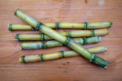 Free Sugarcane Stock Photo