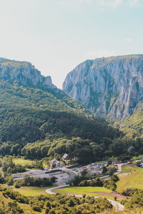 @dış mekan, açık hava, ağaç içeren Ücretsiz stok fotoğraf